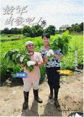 山海厨房 综艺在线观看